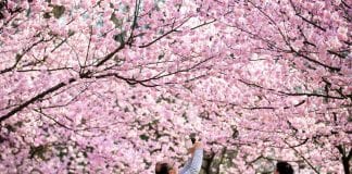 Propozycje na weekend