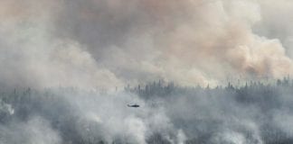 Czym nas zaskoczy tegoroczne lato?