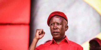 W pogoni za manną z nieba