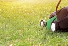 Michalinka: Kosiarka elektryczna kosi wszystko