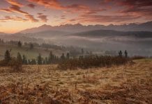 Farmus: O czym mi się pisać nie chce (na razie)