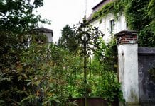 Michalinka: Jak tam w waszym ogródeczku?