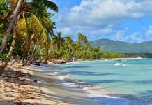 Dlaczego Kanadyjczycy umierają na Dominikanie?