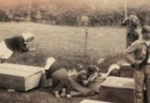 MSZA ŚWIĘTA za OJCZYZNĘ w 77. ROCZNICĘ LUDOBÓJSTWA na WOŁYNIU