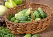 Michalinka: Smaki lata