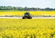 Kanadyjskich farmerów nikt nie chroni przez skutkami wojny handlowej