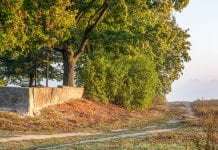 Dlaczego będę głosował na Konfederację