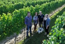 Świetne wina od Polaka z Niagara-on-the-Lake