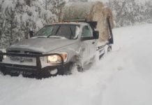 Gwałtowne burze śnieżne i opady śniegu w Calgary