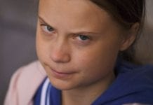 Czerwonego dywanu dla Thunberg w Albercie nie będzie
