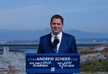 Pięć punktów planu konserwatystów