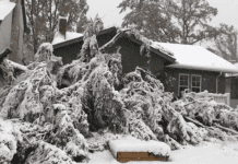 Toronto pomoże Winnipegowi