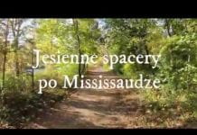 Spacery w Mississaudze