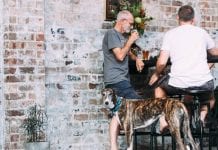 Z pieskiem do ogródka piwnego