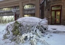 Wszystko przez to globalne ocieplenie…