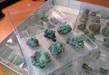 Rzadki minerał odkryty w Nowym Brunszwiku