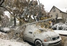 Śnieżyca sparaliżowała Manitobę