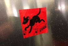 Niepłacenie za bilet TTC – nowy sport młodzieżowy