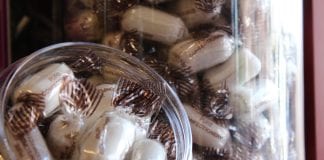 Ligęza: MIĘTÓWKI Z FUKUSHIMY