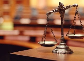 Truckers get jail time while real criminals get bail and parole