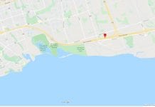 Kolejna strzelanina na autostradzie – tym razem 401