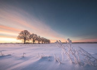 Michalinka: Widzę to czarno, choć z nikłym przebłyskiem nadziei
