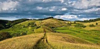 Ligęza: DROGA NA WZGÓRZE