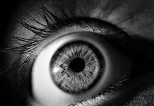 Ligęza: ZAUWAŻENIA