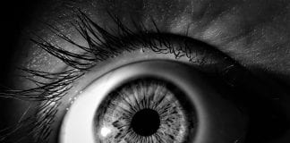 Ligęza: ZAUWAŻENIA