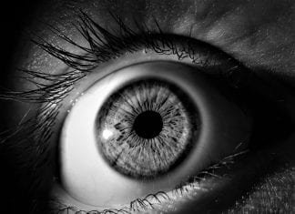 Ligęza: ZAUWAŻENIA