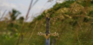 Farmus: Do czego to wszystko zmierza? – 2