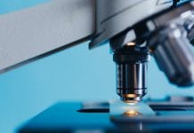 W katastrofie nad Teheranem zginął kwiat kanadyjskiej nauki