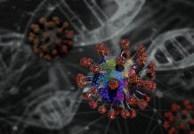 Ontario potwierdza 3 nowe pozytywne przypadki koronawirusa