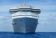 Ósmy Kanadyjczyk zarażony koronawirusem na pokładzie Diamond Princess