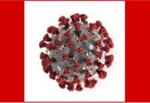 Wobec nowego koronawirusa – pewni i spokojni – wierzymy władzom