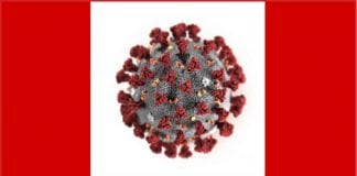 Wobec nowego koronawirusa – pewni i spokojni – wierzymy władzom