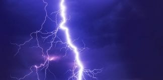 Michalkiewicz: Koronawirus i wścieklizna