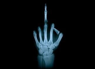 Michalkiewicz: Pokazujemy paluszki