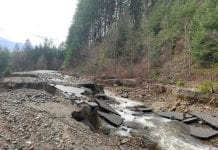 Uwięzieni w zimowej krainie czarów