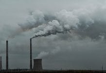 Carbon tax – jednak niekonstytucyjny!