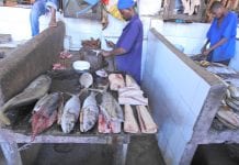 Leszek Samborski: Od Zanzibaru do Ngorongoro cz.5