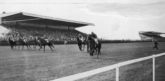 Marcin Baraniecki: Poproszę duży winiak (14)