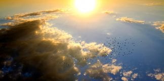 Michalkiewicz: Pod słońcem wysokim