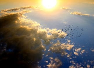 Michalkiewicz: Pod słońcem wysokim