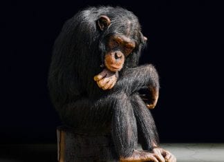 Michalkiewicz: Nie będziemy się nudzić