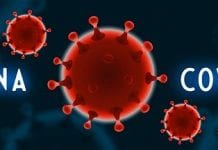 Koronawirus w Polsce na 100 tys. mieszkańców