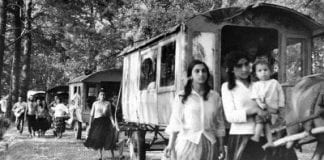 Marcin Baraniecki: Poproszę duży winiak (20)