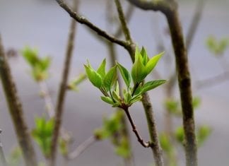 Pruszyński: Wiosna i…