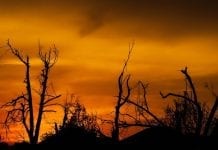 USA: tornada i burze na południu; 18 ofiar śmiertelnych