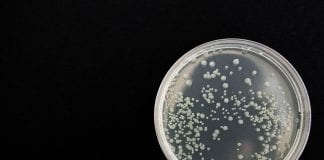 COVID-19 zaraźliwy przez osiem dni od wystąpienia objawów